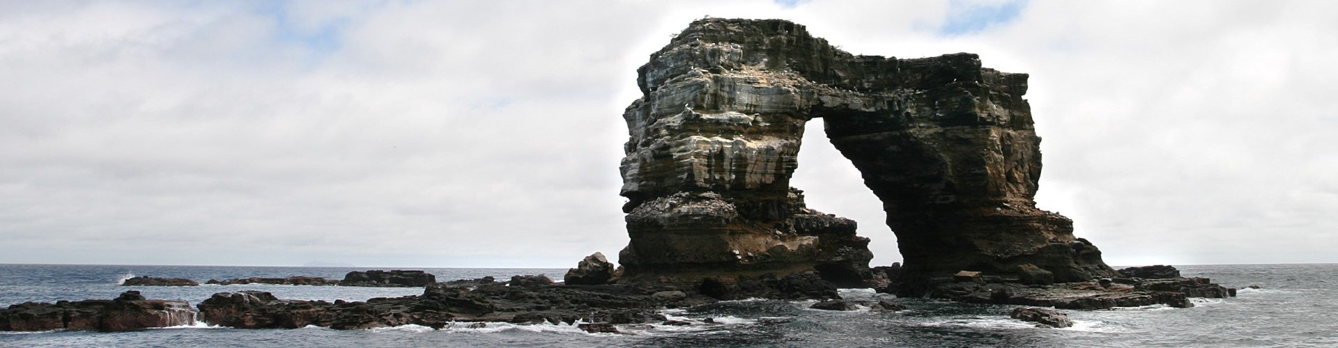 Darwin and Wolf Islands, Galápagos: The Best Diving in the World (and How to Get There)
